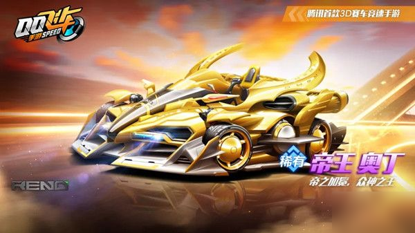 队医评估通